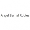 Angel Bernal Robles Avatar